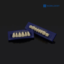 Load image into Gallery viewer, Nobildent Prime DXL Artificial Denture Teeth Posteriors 33°
