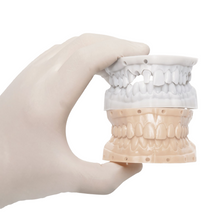 Load image into Gallery viewer, HUGE Dental Model Resin M3.0 (Almond)
