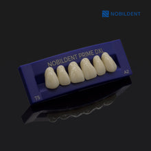 Load image into Gallery viewer, Nobildent Prime DXL Artificial Denture Teeth
