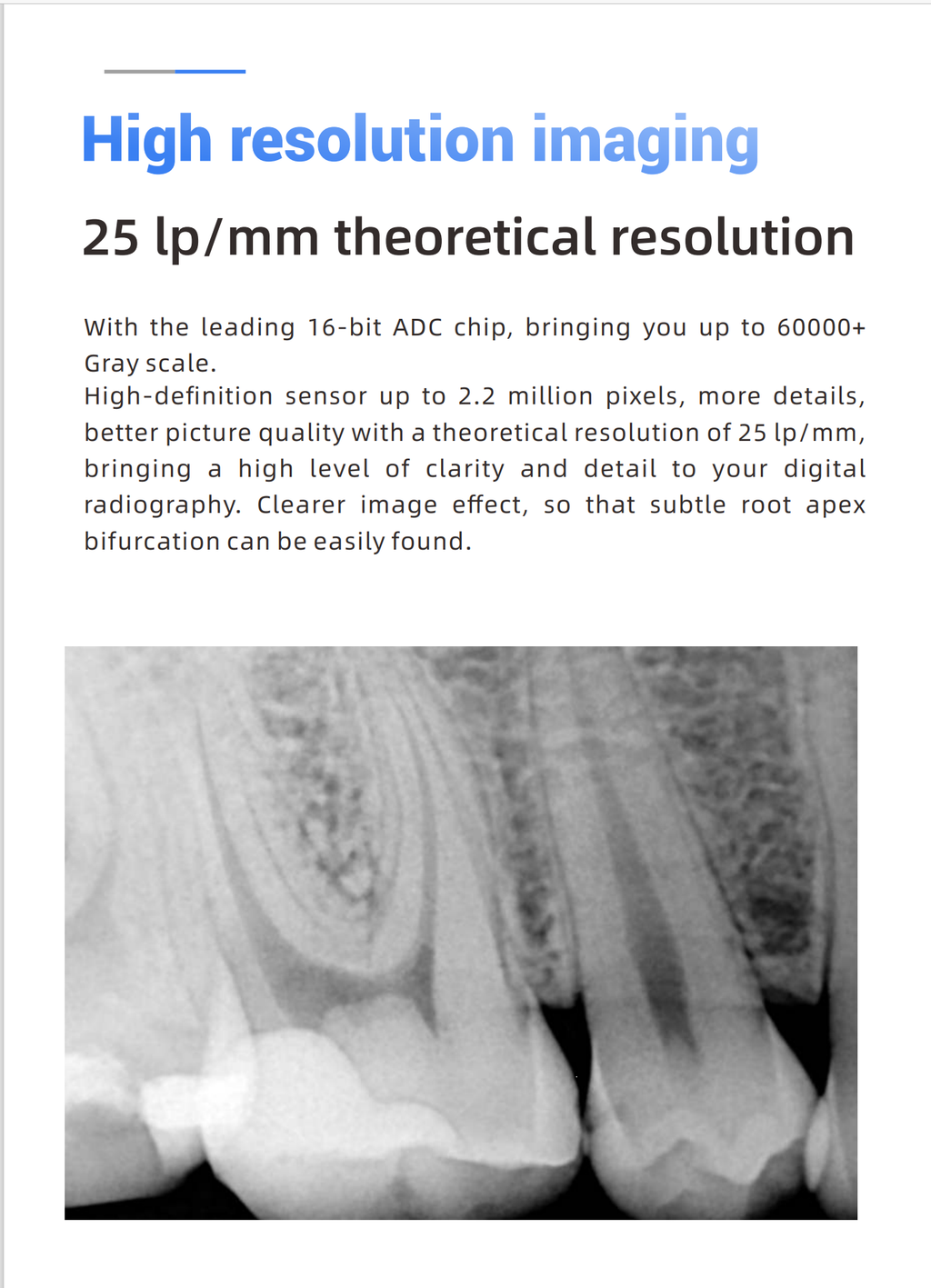 Woodpecker DBA® Intraoral RVG i Sensor H1 H2 Digital X-Ray Sensor w/ free software