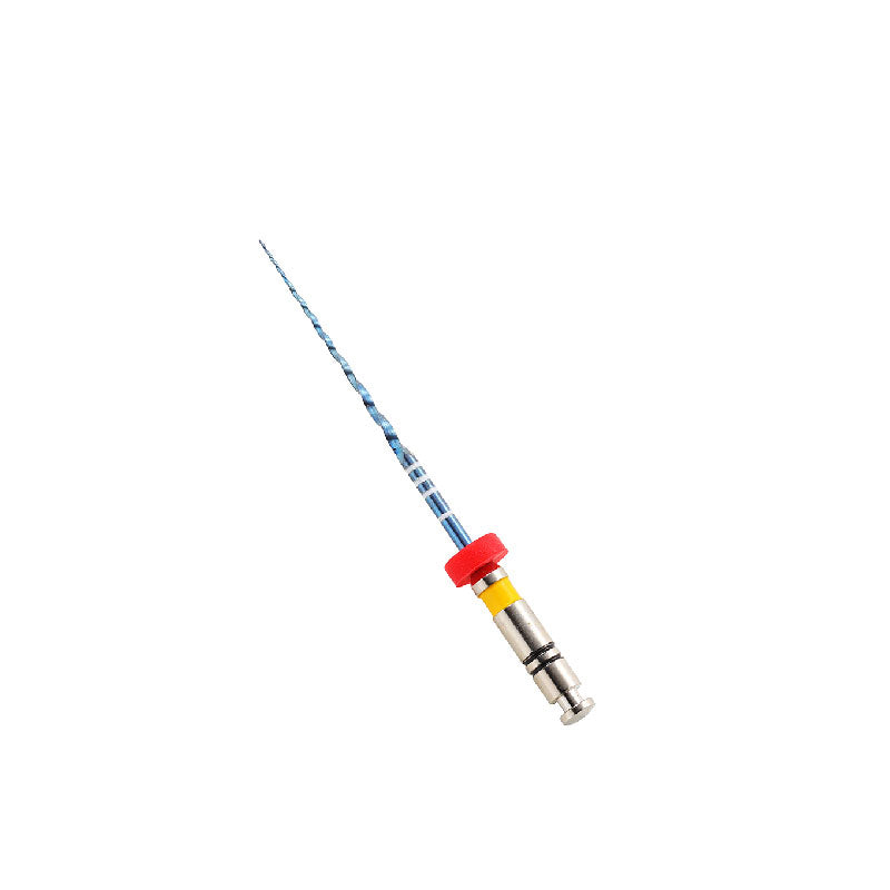 protaper rotary files